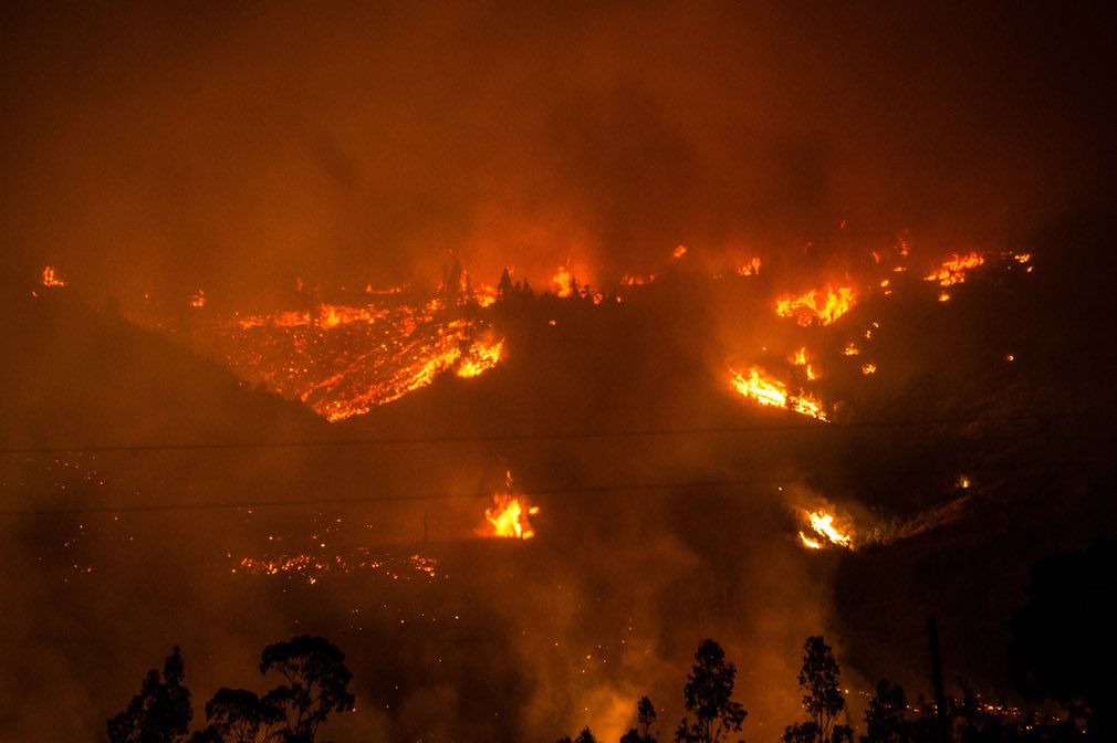 El peor incendio forestal de la historia de Chile y afecta el precio de la celulosa fluff