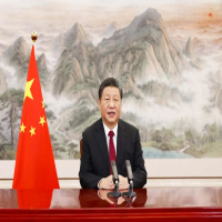Xi pide pasos conjuntos hacia recuperación y estabilidad financiera