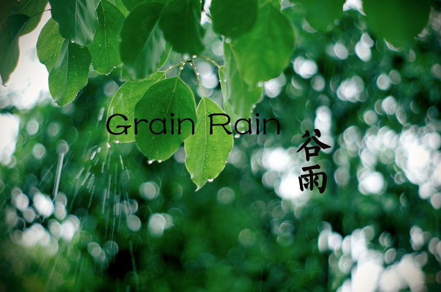 Culture Insider: Cinco cosas que quizás no sepas sobre Grain Rain